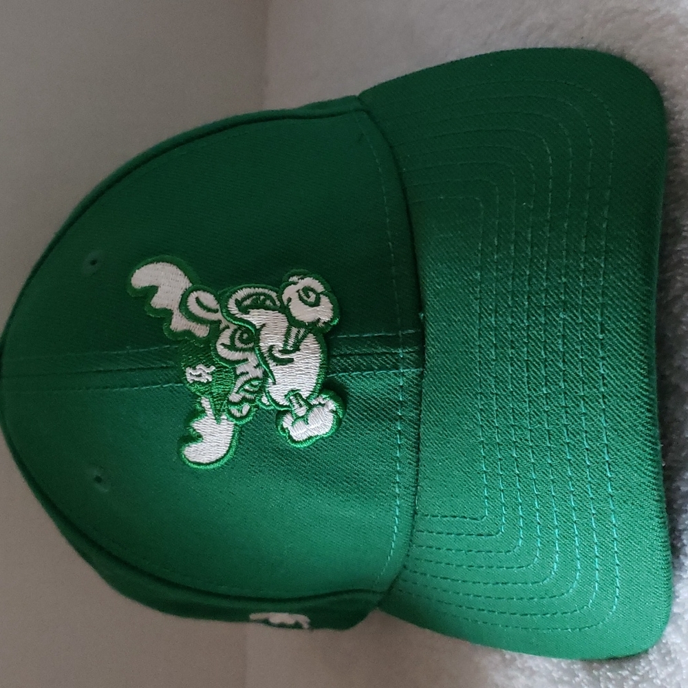 New Era | NWT Men's Baseball Cap for Blue Rocks